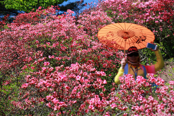 花丛中女人