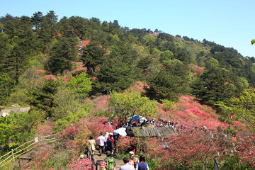 麻城龟山