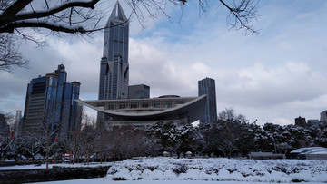 上海雪景