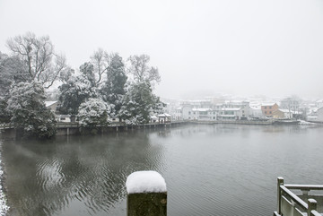 雪景