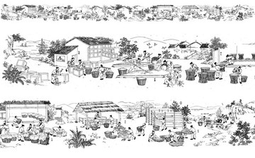 制茶全圖