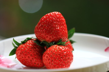 草莓高清大图