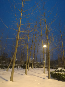 雪后夜景