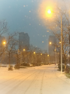 雪后夜景