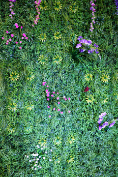 花墙 植物墙 装饰 室内植物墙