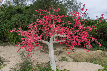 红桃花