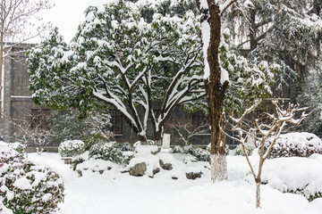 南京总统府雪景