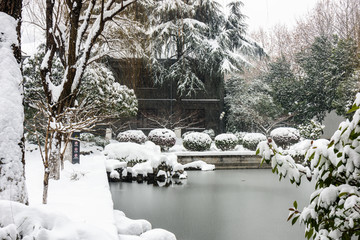 南京总统府雪景