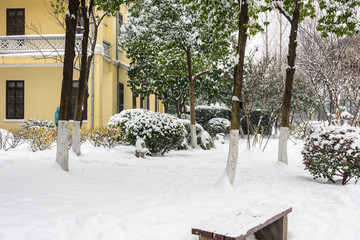 南京总统府雪景