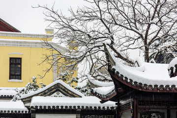 南京总统府雪景