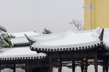 南京总统府雪景