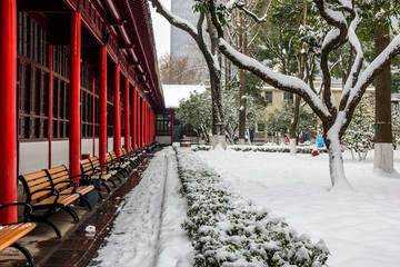 南京总统府雪景