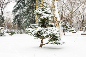 明孝陵景区雪景