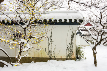 明孝陵景区雪景