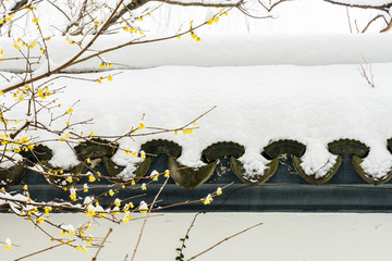 明孝陵景区雪景