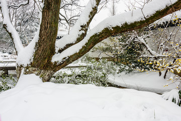 明孝陵景区雪景