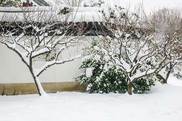 明孝陵景区雪景