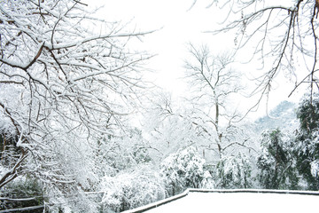 雪景雪山