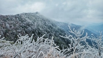 桂林市兴安县猫儿山雾凇景色