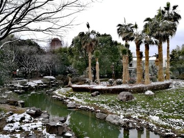 江南园林 雪景