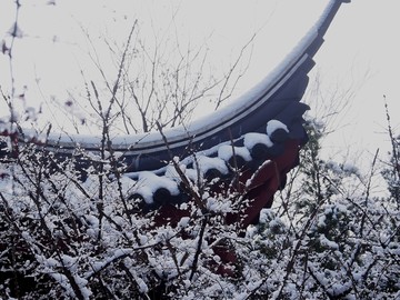 雪后的江南园林