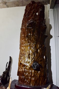 金絲楠木