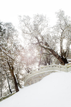 黄帝陵雪景