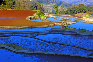 元阳梯田