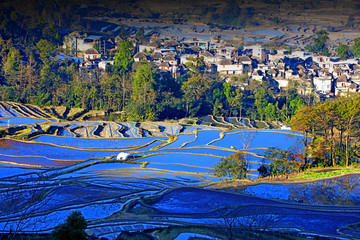 元阳梯田