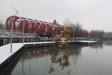 袍江洋泾湖公园雪景