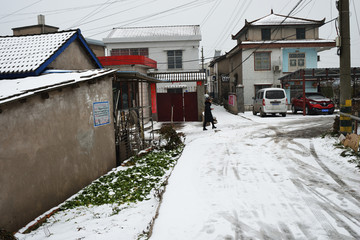 江南雪景 屋上雪景