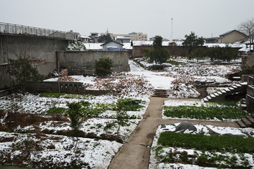 江南雪景