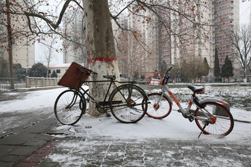 共享单车 老自行车