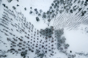 航拍公园雪景