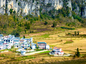 田园山村