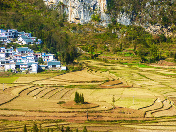 田园山村