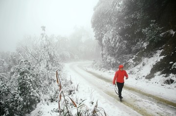 雪景