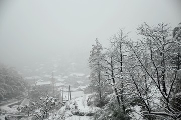 雪景