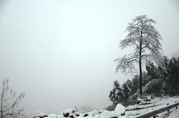 雪景