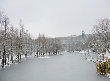 唯美冬日湖景