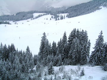 阿尔卑斯山 雪景