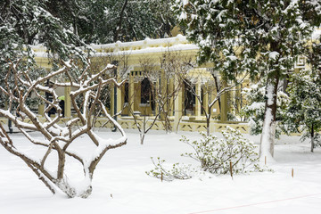 南京总统府雪景