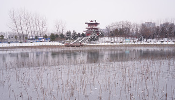 公园雪景