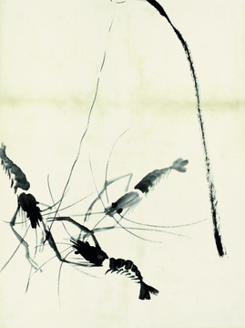 齊白石 魚(yú)蝦國(guó)畫(huà)