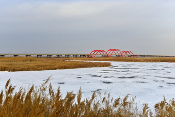 湿地公园