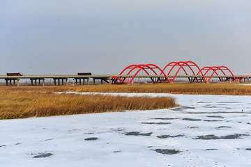 银川阅海湿地公园