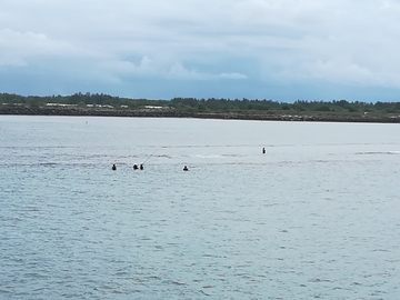 海边钓鱼