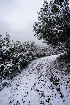 山村雪景