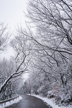 雪路