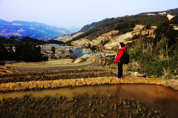 元阳梯田